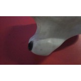 Rover Serie 200 - Reservatório de água lava-vidros