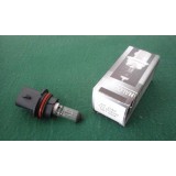 Lâmpada 12V 65/45 W P29t