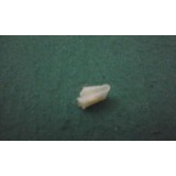 Peugeot 305 - Mola fixação frisos raspadores