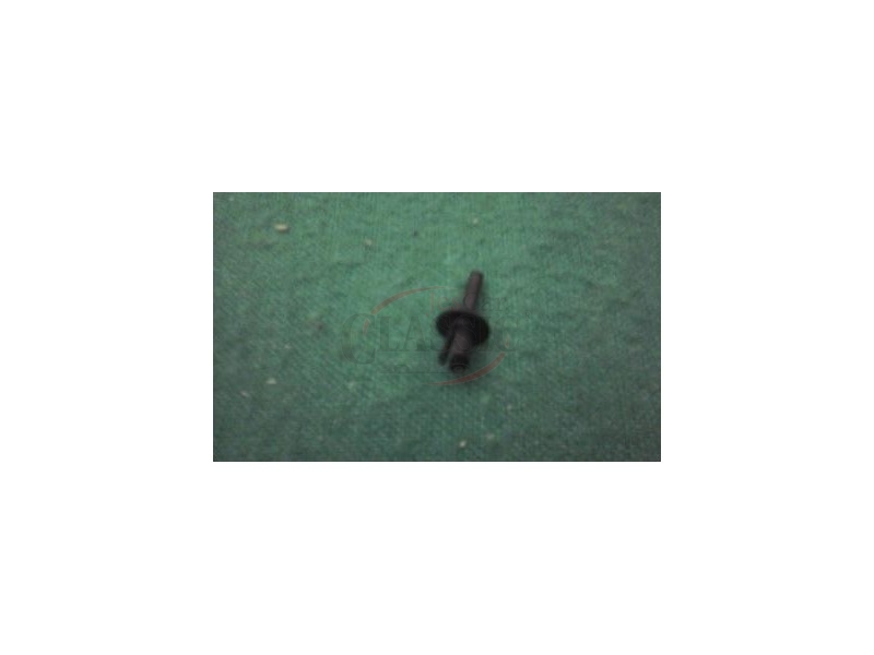 PSA - Mola de fixação