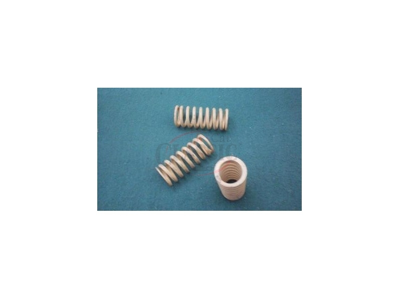 Ford - Mola de válvula