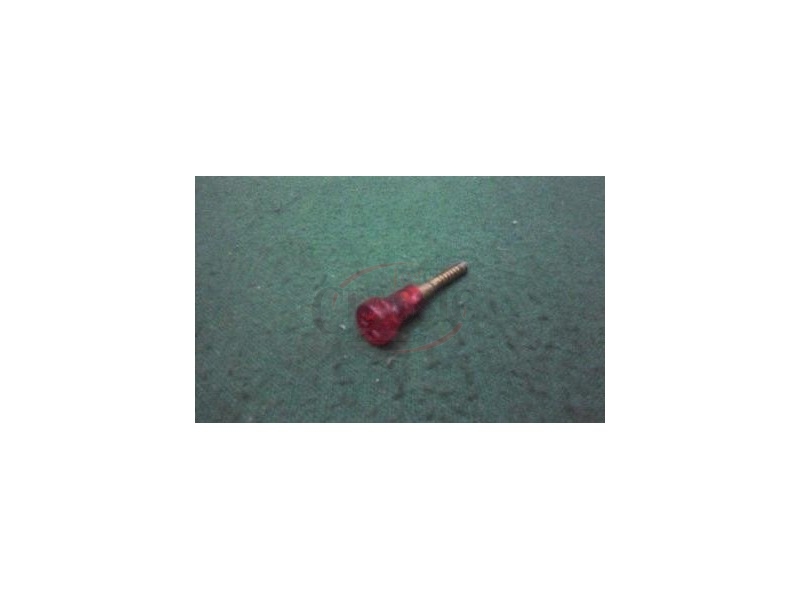 Alfa Romeo / Fiat / Lancia - Parafuso plástico (33mm)