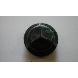 Peugeot 206 - Tampa de farol auxiliar (VALEO)