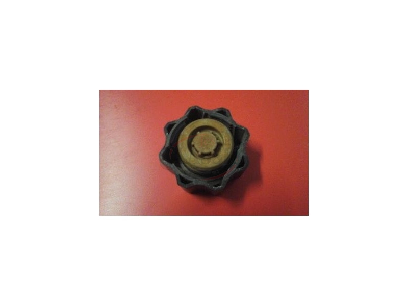 Citroen / Peugeot - Tampa de reservatório refrigeração