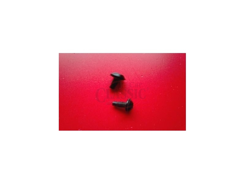 Renault Super 5 - Parafuso (M5)