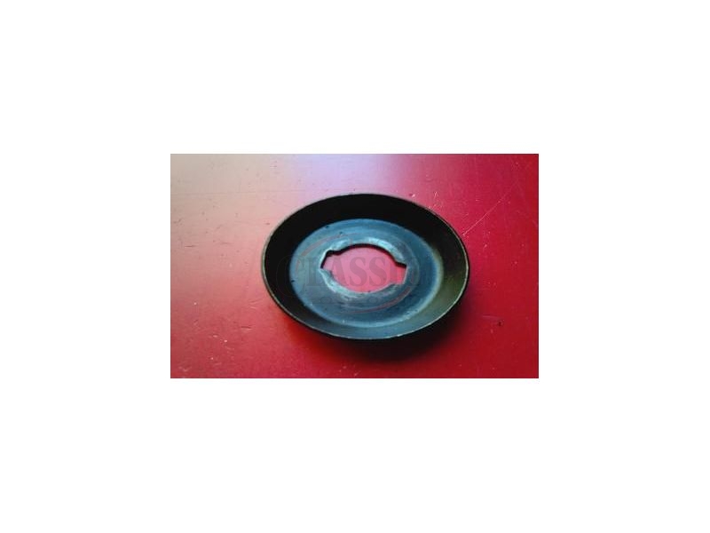 Fiat 600 D / Fiat 850 - Anilha da polia centrifuga e cambota
