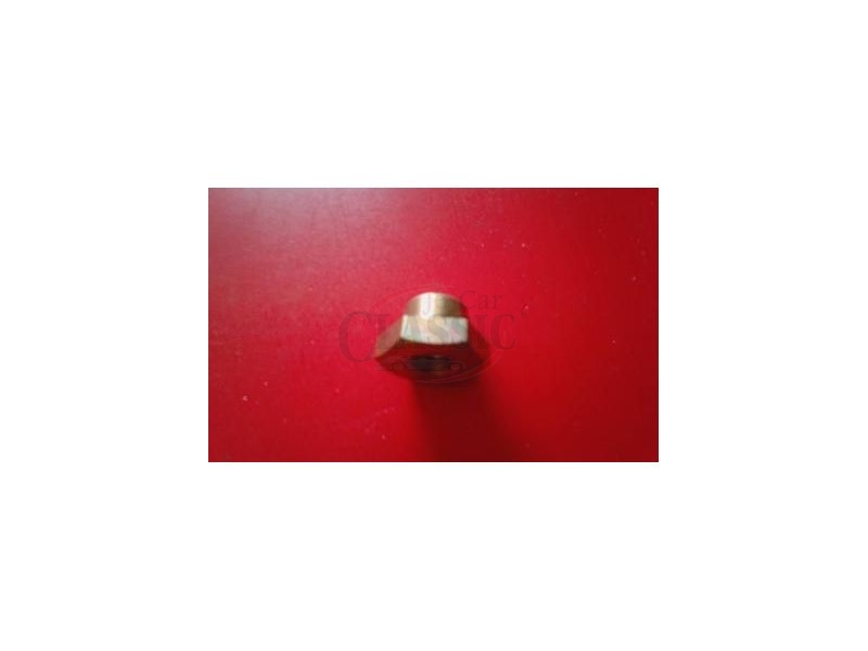 Ford - Porca sextavada de afinação (M8)