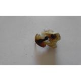 Seat Ibiza I / Seat Malaga - Suporte de lâmpada do farolim frente