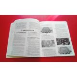 rta - revista técnica automóvel (3ª série Nº 13 - CITROEN DYANE 6)