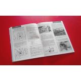 rta - revista técnica automóvel (3ª série Nº 62 - FIAT TIPO)