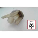 Opel Meriva A - Suporte de lâmpada farolim traseiro (BA15s) (VALEO)