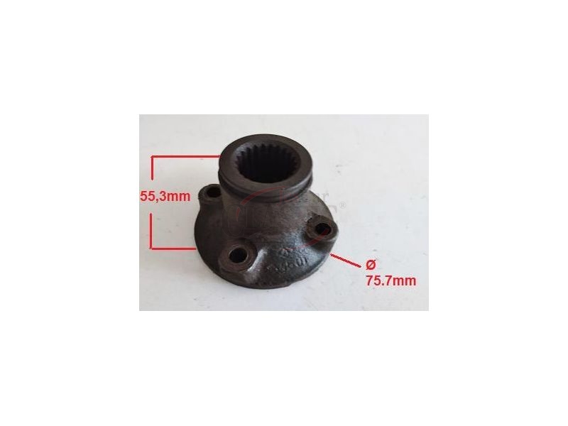 Fiat 600 - Falange do semi-seixo (Ø 24 - 22 Estrias)