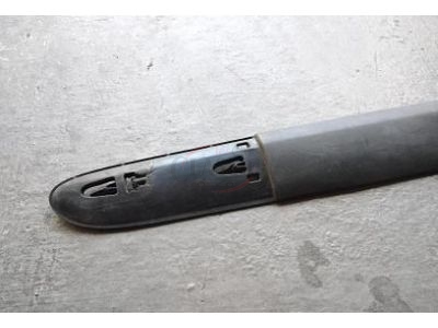 Renault Clio II - Friso embelezador da porta esquerda (1130mm)