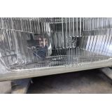 Audi 80 B2 - Farol principal esquerdo H4 (BOSCH)