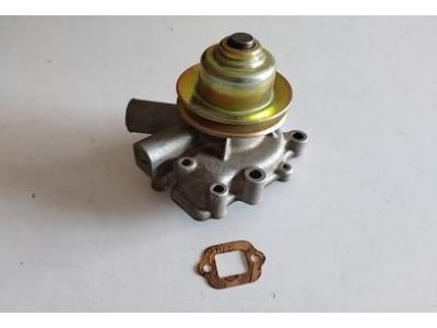 Subaru Leone - Bomba de água