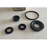 Peugeot - Jogo de reparação da bomba principal