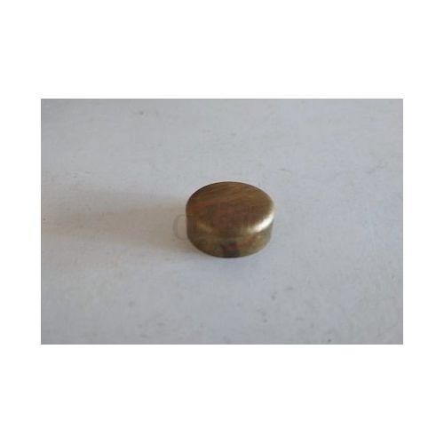 Opel / Peugeot / Renault - Rela de motor (Ø20)