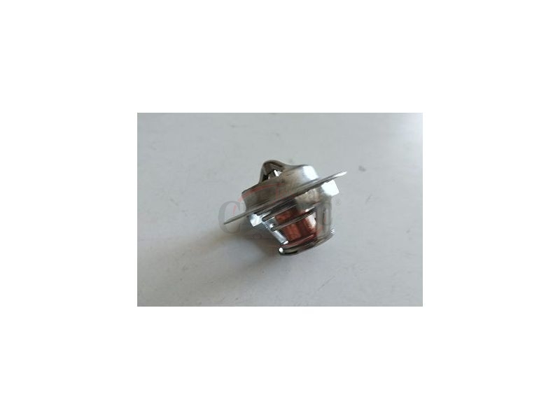 Mini - Termostato de refrigeração (74º)