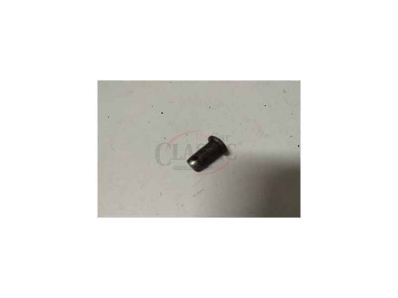 Austin 1100 / Austin 1300 - Cavilha / Rebite para limitador porta (Ø6.2)