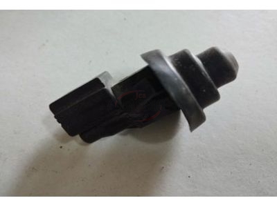 Renault Clio II / Renault Laguna / Renault Megane / Renault Kangoo - Interruptor de contacto luz interior