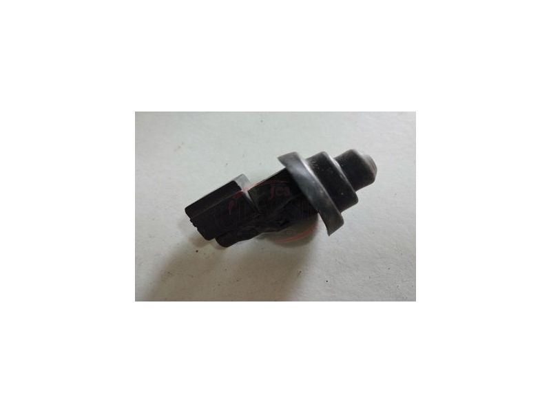 Renault Clio II / Renault Laguna / Renault Megane / Renault Kangoo - Interruptor de contacto luz interior