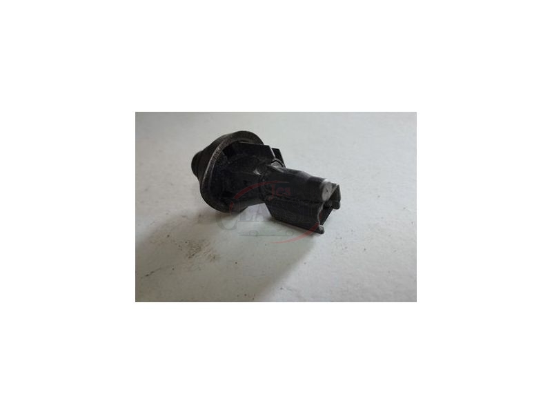 Renault Clio II / Renault Laguna / Renault Megane / Renault Kangoo - Interruptor de contacto luz interior