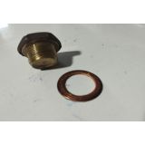 Renault 4 / Renault 5 - Bujão sextavado de caixa velocidades (Cabeça lisa) (M16x1.00)