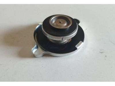 BMW 1502-2002 (E10) - Tampa de radiador