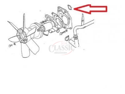 Peugeot 305 - O-ring