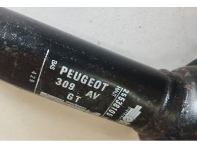 Peugeot 205 CTI / Peugeot 309 GT - Jogo (2) amortecedores frente (PEUGEOT)